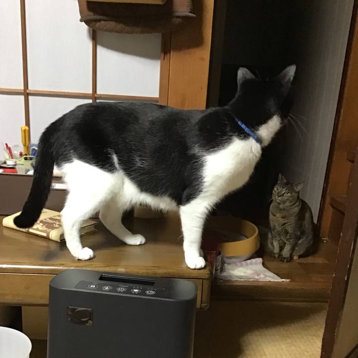 A495e8f4 4245 4066 b2e7 d38209ab782d 1763120795780