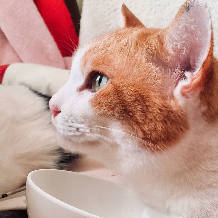 A495ecf1 c9a2 4735 ba82 961b2bcfaa19 1580513134341