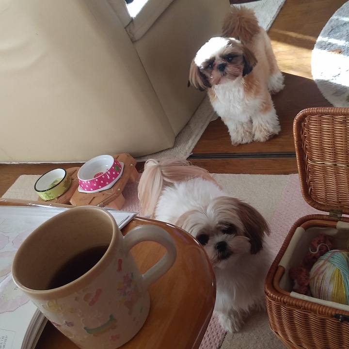 A496046b 4650 419f a743 4b03ce173e53 1575178274906