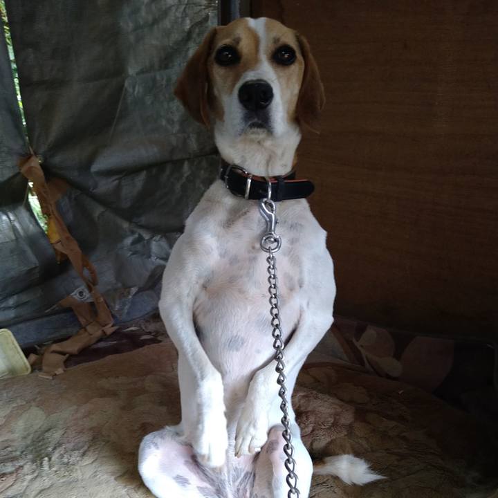 A4963d81 d7c9 45c6 b43f 8f11b0a44f13 1661412076680