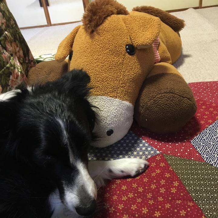 A4965bc2 7a53 4ba7 9a5b 15e50e9d2ecf 1514937907442