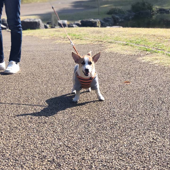 A496610b 1a1e 4599 a3e6 4544356dd5c1 1552827152613