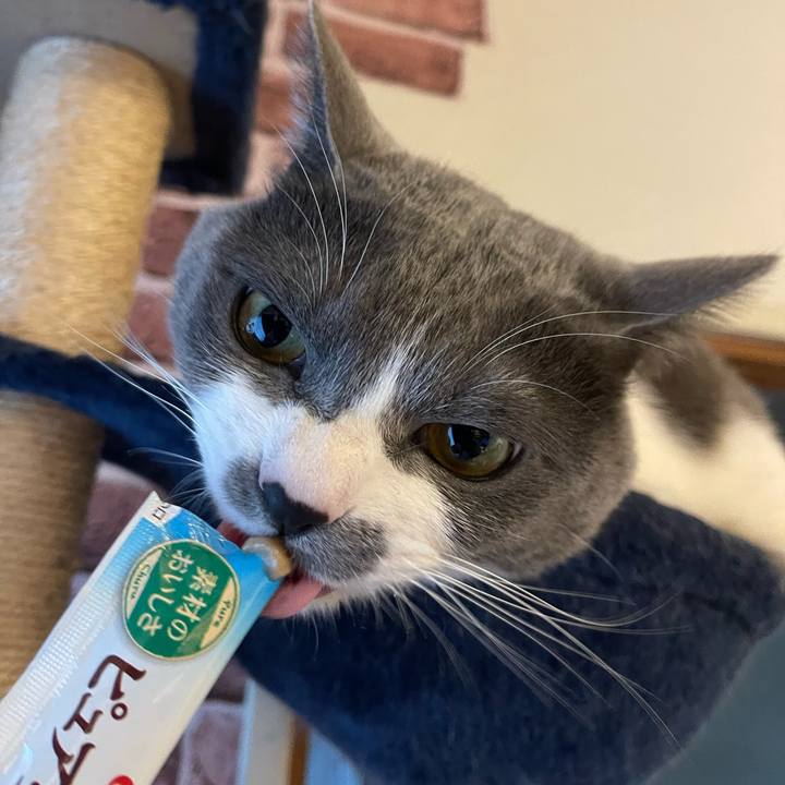 A4966566 4528 4239 afe9 a1ef1cfc8d77 1710233466679