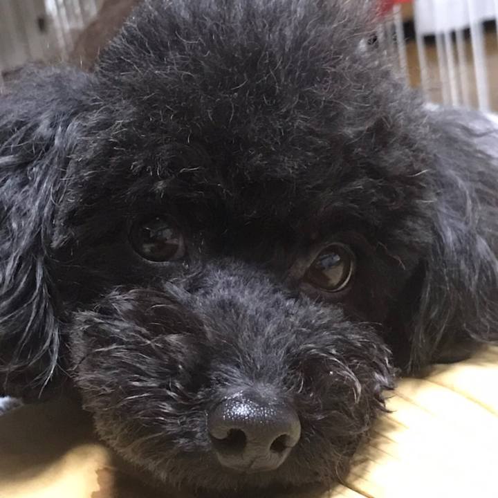 A496a060 258f 4751 9f56 9b636e275b6c 1609326716392