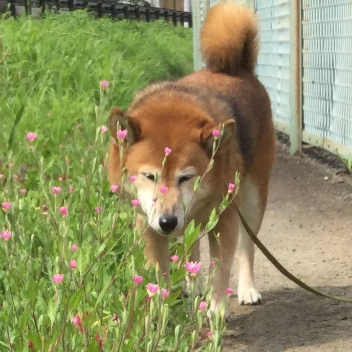 A496a088 22ee 4f80 b18a 73f2afad7b2f 1596847669286