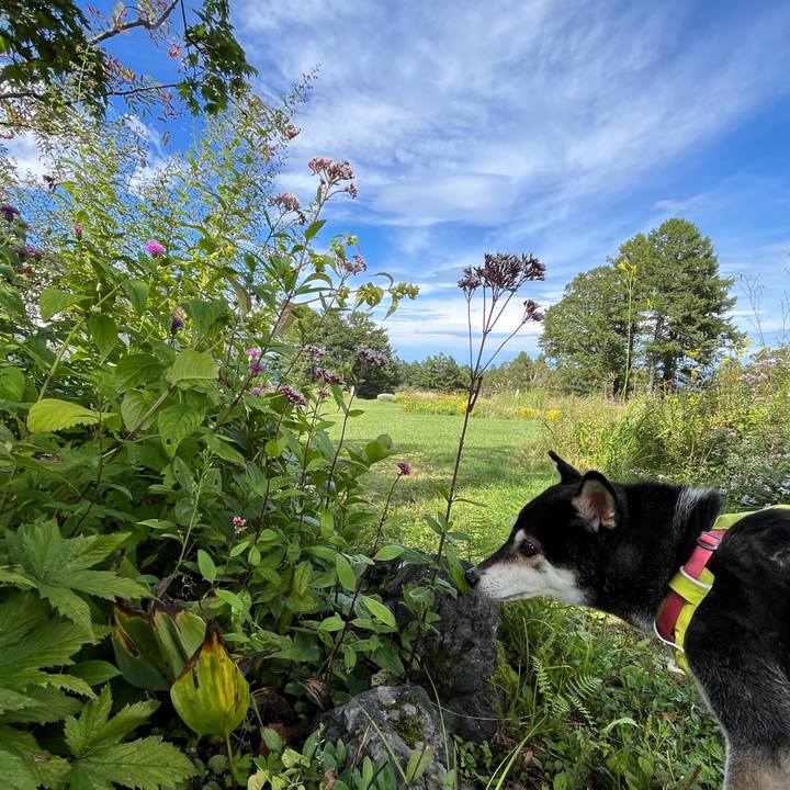 A496b8f8 43fc 4d30 b99f 608b827bc288 1764169403152