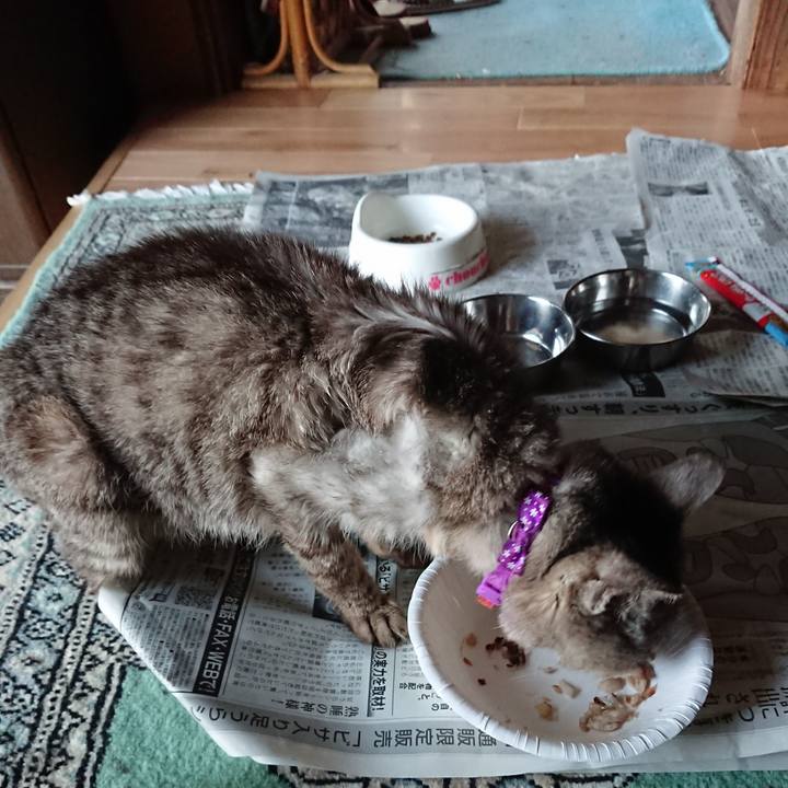 A496c1ef 7c6d 49f1 82ac e1fe953cfad9 1598518907011