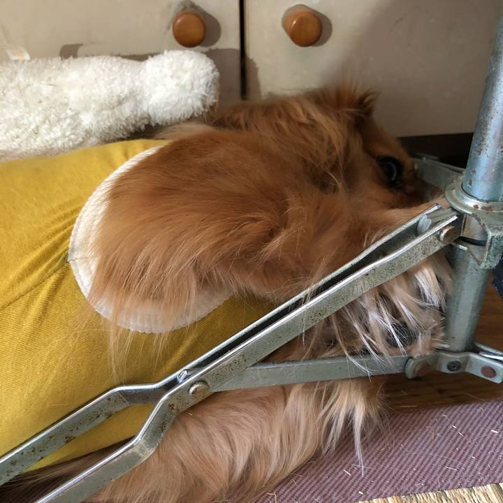 A49715d0 3ec4 41e1 a1d0 feb2195219d8 1524376761778