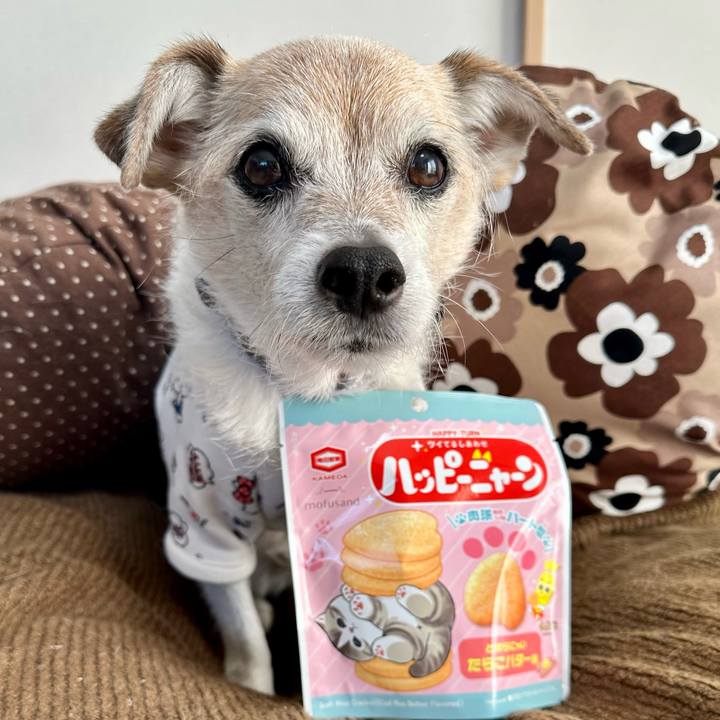 A4974cb2 f641 4c86 9f10 aaf7dd41c70b 1740204006662