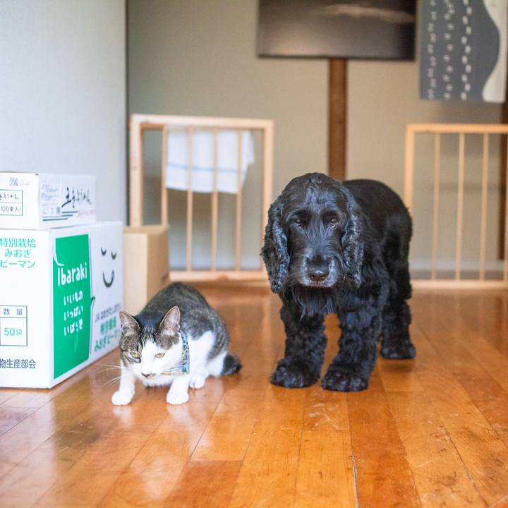 A4975121 6192 42ec a8db 375e6988349b 1568428117022