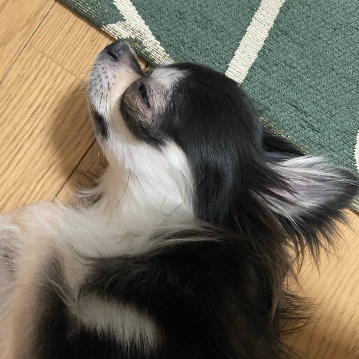 A497753f b3b0 4964 a6ce ef1eacc043f8 1636783326822