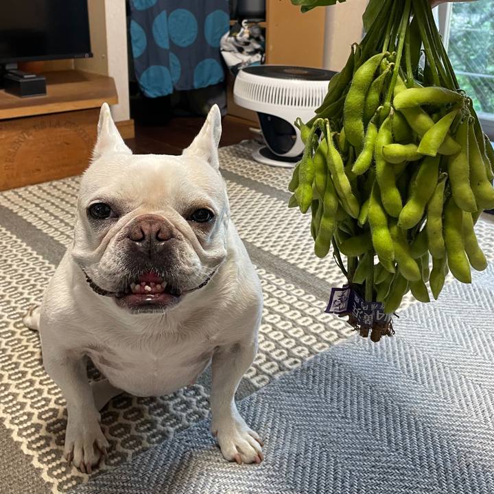 A4979594 88b2 4b60 af7a 847d60c0348f 1751342884191