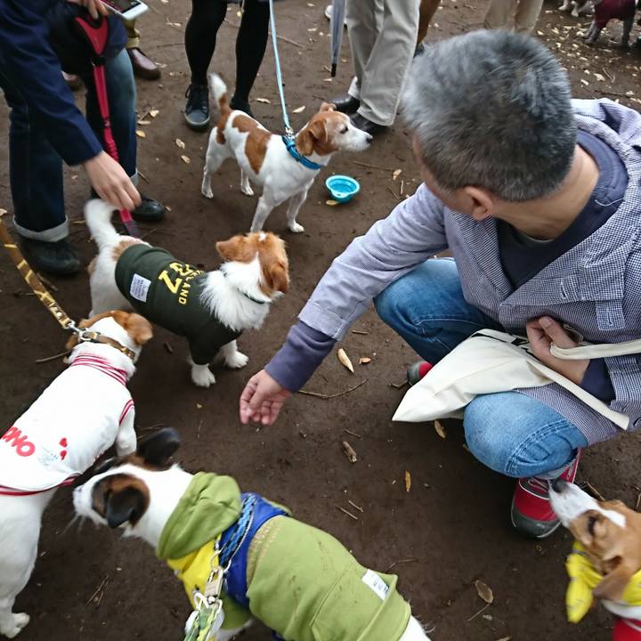 A497e014 f214 4cb3 99f4 2d8e993e2052 1509177983567