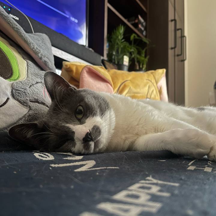 A4981ecb 529a 4854 91b3 d7f5308b412e 1749199003302