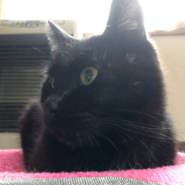 A49828e5 fa34 4ead b858 99ae128da3b3 1570228358680