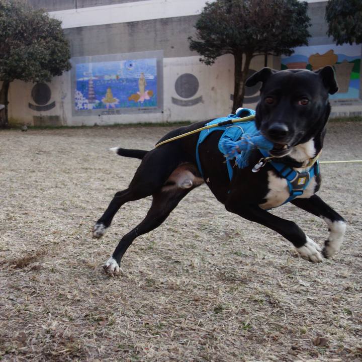 A49831a2 7aa8 43c4 96e0 44de56276d74 1614473314907