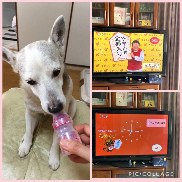 A4986ef2 2d19 4428 8f85 5031f6403a45 1760306682466