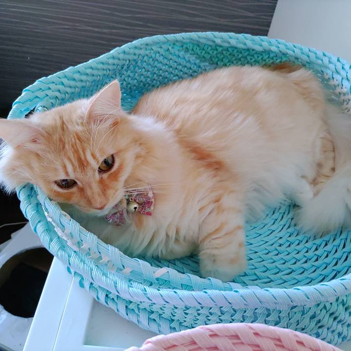 A4987104 f9c2 4868 ade4 f24a9496a9e8 1663369492266