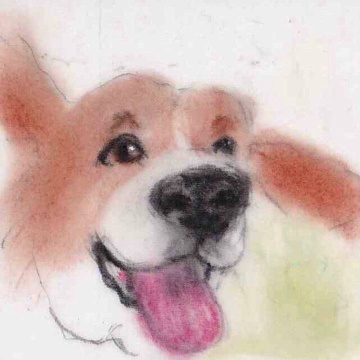 A4988741 d302 4331 af68 ac8114ae1779 1658109320865