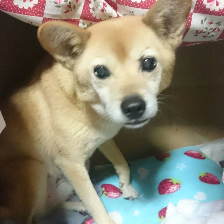 A498be5c 3018 4487 afe3 4a5607404fb8 1551876695064