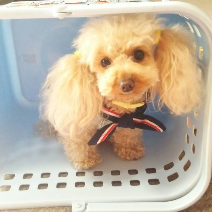 A498cb35 365c 405a bb01 a15c0e85fc61 1516793525507