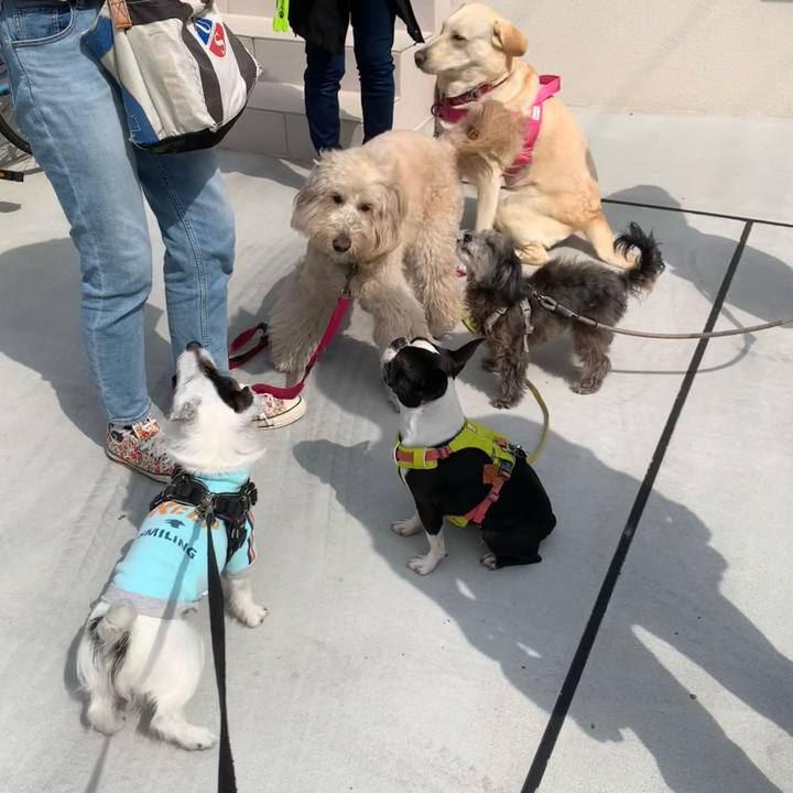 A498fddc 5099 4f2e 81af 2b46f9eec7c3 1743038870259