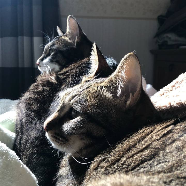 A49922e5 e658 4fc9 af57 e1adcdbfbb2c 1518712228088