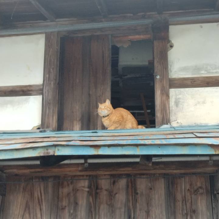 A49923ce ca9c 41e4 8da6 8286f3f71bbc 1673744044640