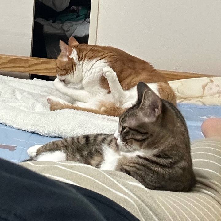 A4993a8d 8b0e 4485 b905 2b984269dd26 1760624981375