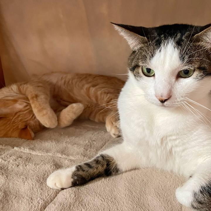 A4994c67 90e9 4a1c 988b e38c55f60da4 1772537363281