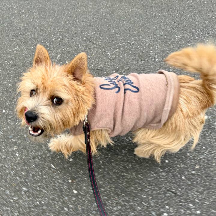 A4994f2f ddd2 40f6 9baa 741bea069ad0 1763496589695