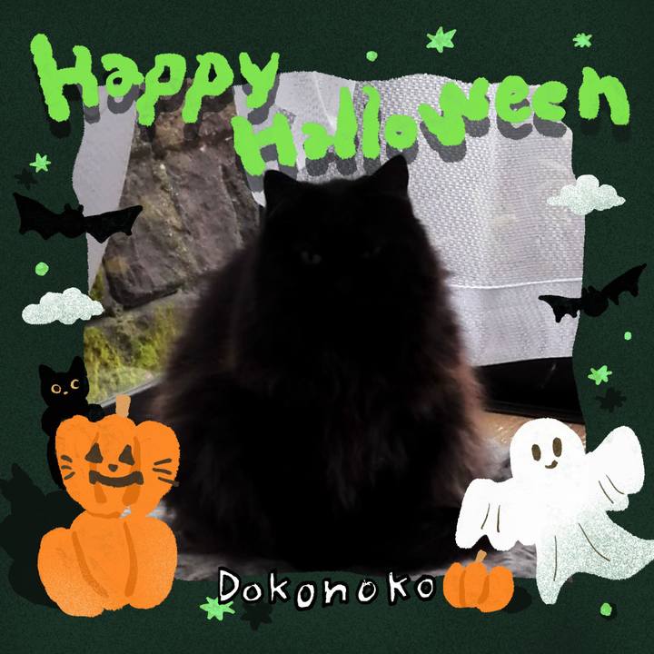 A4997586 ddbd 43b2 8228 7375e16c29ed 1729151294525