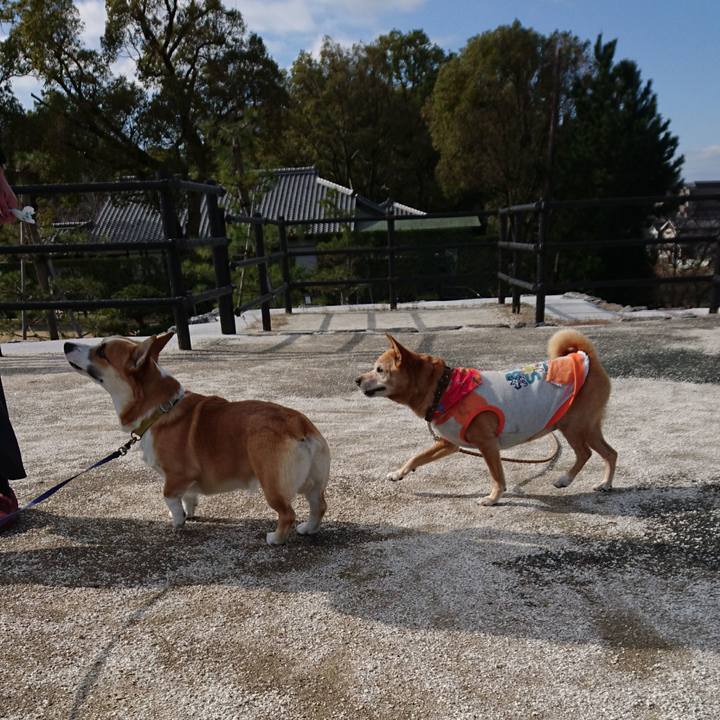 A49998d3 7622 4e4b b471 a7fc47832a96 1581939028958