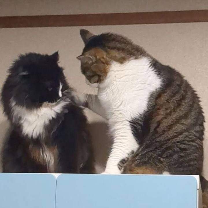 A4999ec0 4687 426f 8d03 b7186a567dd6 1751787591415