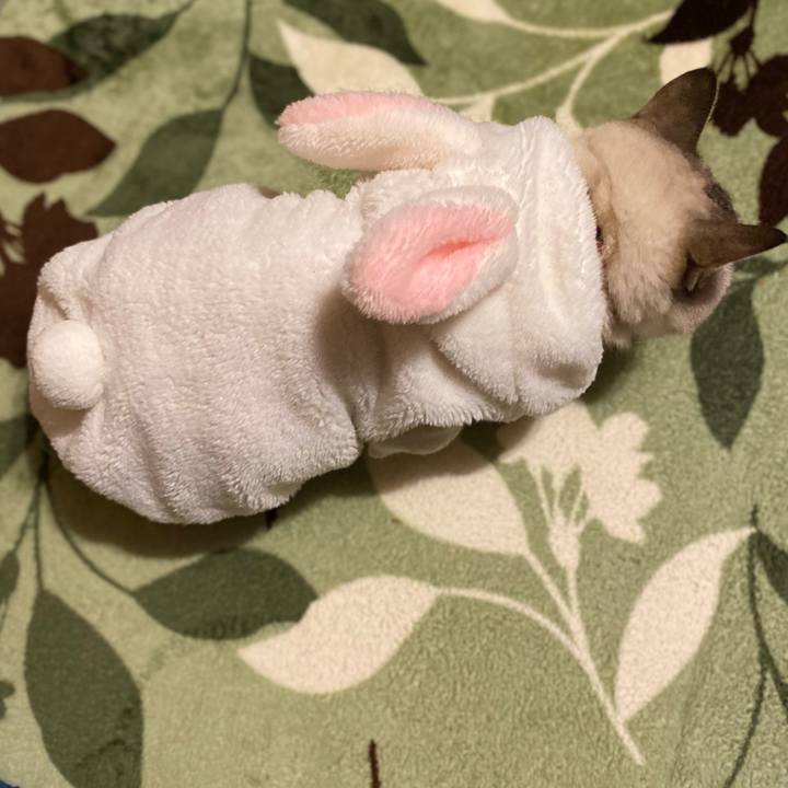 A499d696 3da9 4551 a4d2 5ab96fb9157b 1612471242611