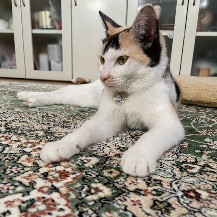 A499f423 2121 4fb2 ae24 90cc0989688e 1673582147775