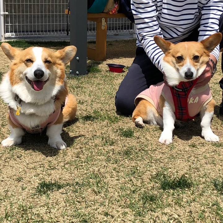 A49a132b a29f 4748 b497 8a73b8ba0f94 1683127719936