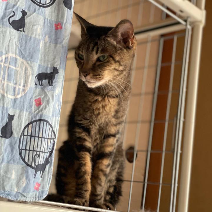 A49a14c0 f78d 4104 90bc 438086be3589 1628732294591