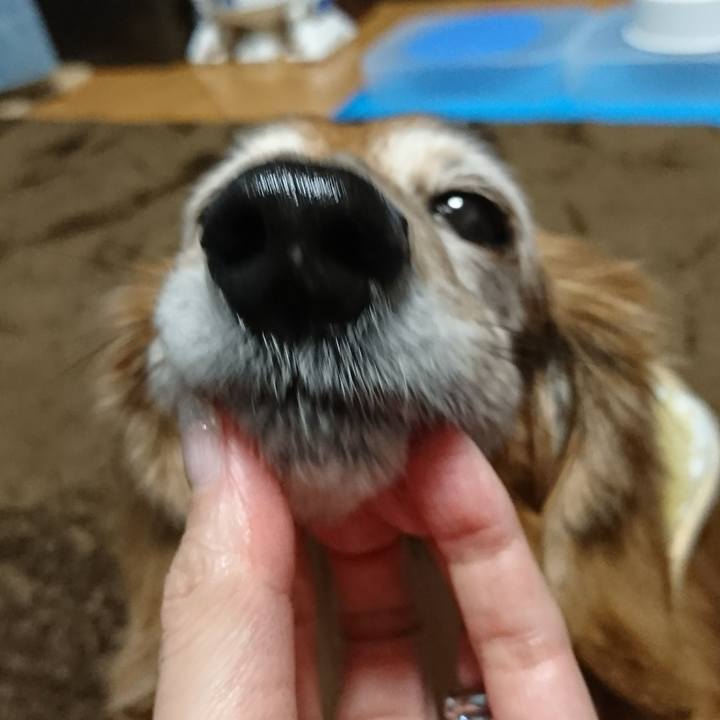 A49a155b 6ca5 410f acae 4f146a39f46d 1517131009373