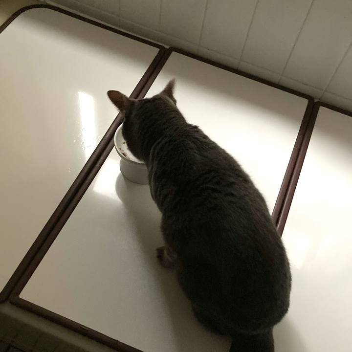 A49a66eb cd04 4b53 9631 e8b9e22a22f9 1655977653391