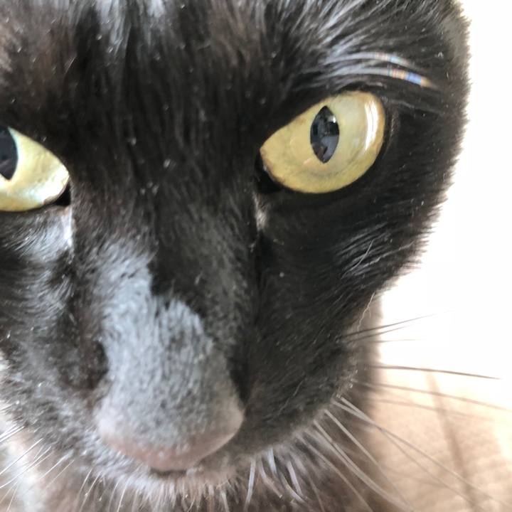 A49a687a 0cb8 49cf 8a20 673e9d40ee7f 1524269361130