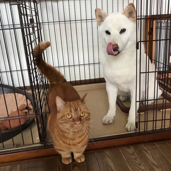 A49a8b6d 1f35 4db4 a9be b7d56c7c2429 1559797043498