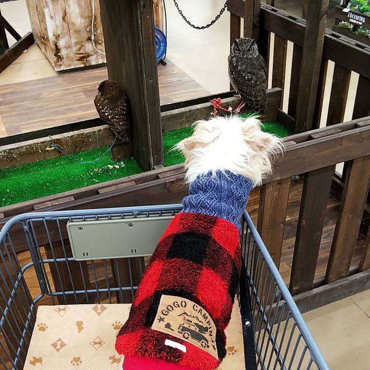 A49a9d60 1dce 494b 974b c4134c269b89 1544943675717