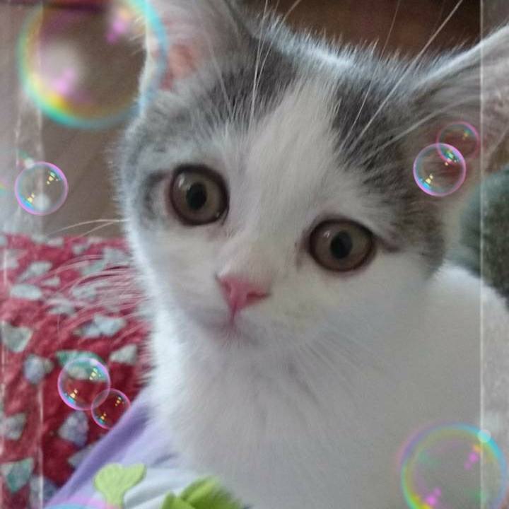 A49ac392 4a33 4101 aea8 17a6cc36aaa3 1684842003437