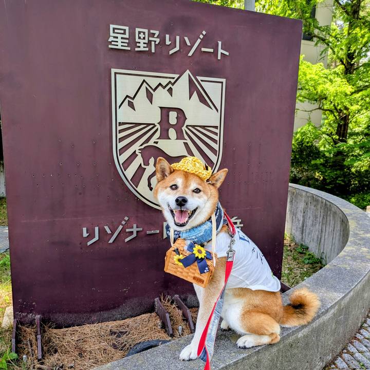 A49ad405 4339 4b02 810c 59257fdf439e 1751679883910