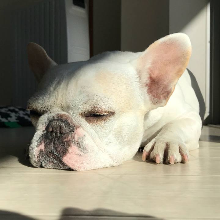 A49afded e7e3 45f3 b328 ecad7c66a384 1515918103334