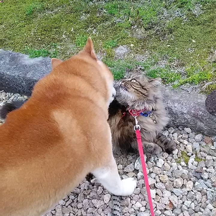 A49b0d1b 0273 49bd 9764 9411d60a6fbb 1714993386166