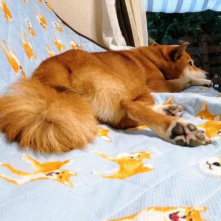 A49b25a8 43c9 415e 9fc0 badbf4c3049c 1627729178703