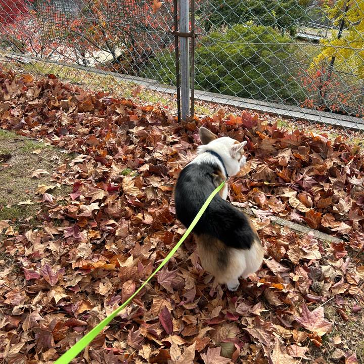 A49b51b1 d23e 4581 9ac8 fc4a10148796 1763715165168