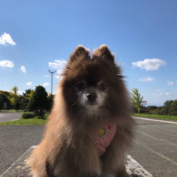 A49b627f 285b 4510 b895 9a088a469783 1635045885326